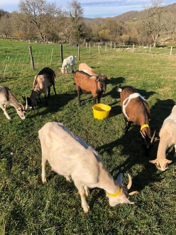 Gite A La Ferme Montesquieu-Avantes Экстерьер фото